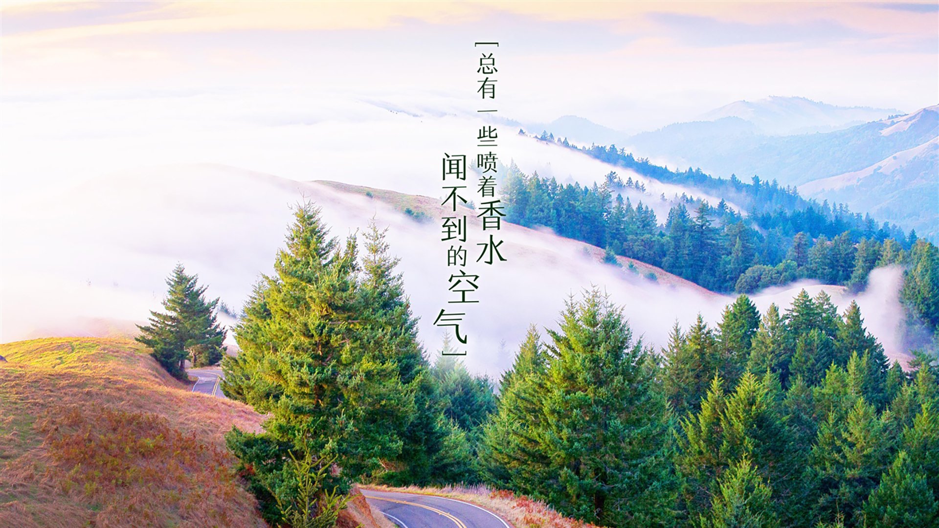 _老将经验丰富，奇才稳步前行_，经验丰富的老将