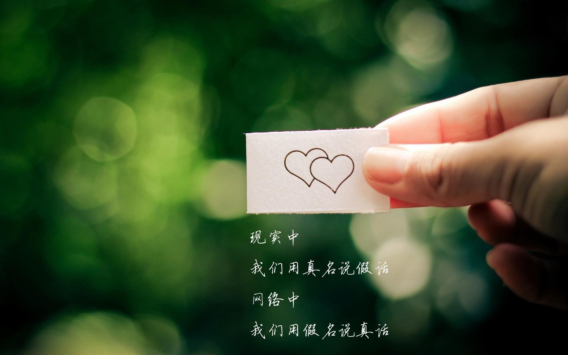 生力啤酒人主场战绩稳健，生力啤酒我要代理的电话是多少