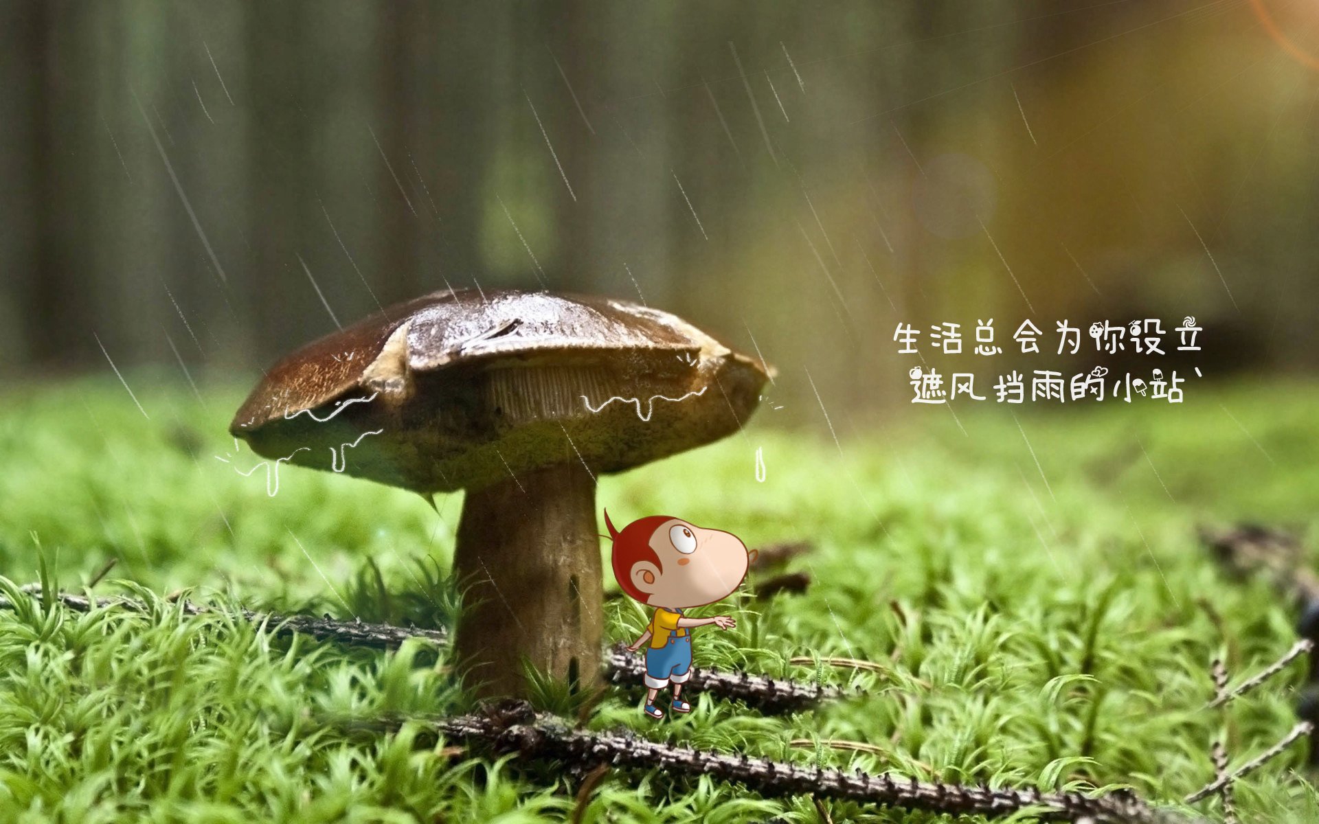 联盟是否应扶持球员退役后教育项目，联盟应该退役所有23号,从我做起