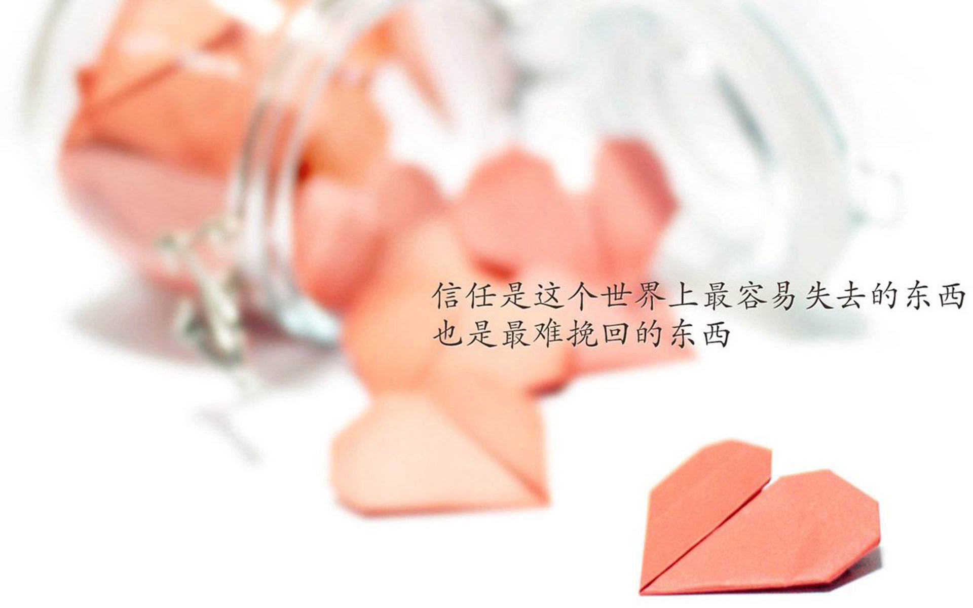 体育教师专项技能认证标准即将实施，体育教师专项技能认证标准即将实施了吗