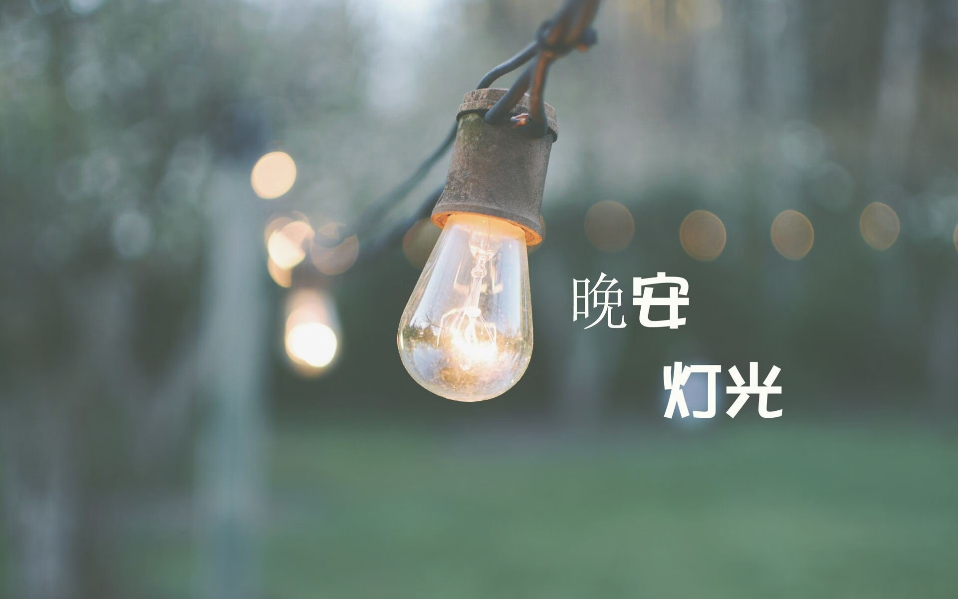 王宗源男子3米跳板决赛精彩亮相，王宗源男子3米跳板决赛精彩亮相回放